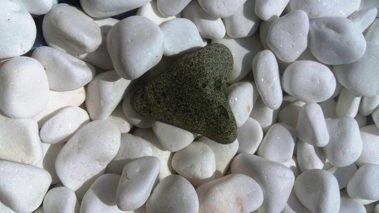 海滨公寓式酒店 茨雷沃 外观 照片